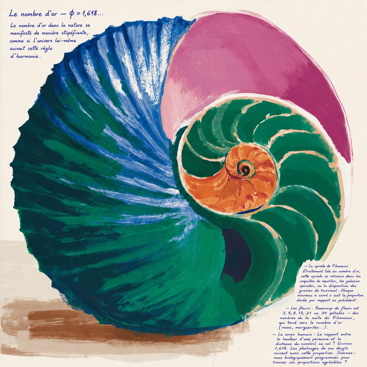 Le nombre d’or et la spirale de Fibonacci - dessin Terra φ